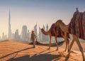 Going to Dubai? 5 Suggestions On Where To Visit During Your Stay